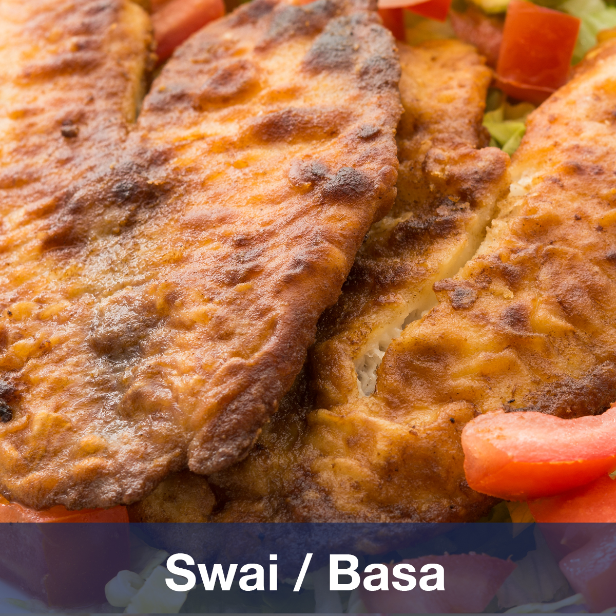 swai-basa-the-fishin-co